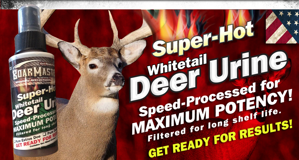 Boarmasters Bear, Hog, Deer, and Elk Bait, Lures, scents and