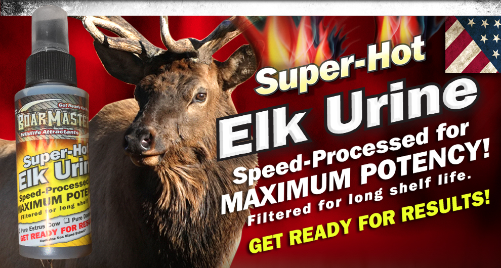 Boarmasters Bear, Hog, Deer, and Elk Bait, Lures, scents and