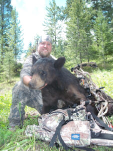 black bear on bait