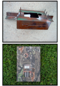 Trail Cam Lock Box