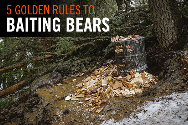 5 Golden rules to Baiting bears by Top priority hunting