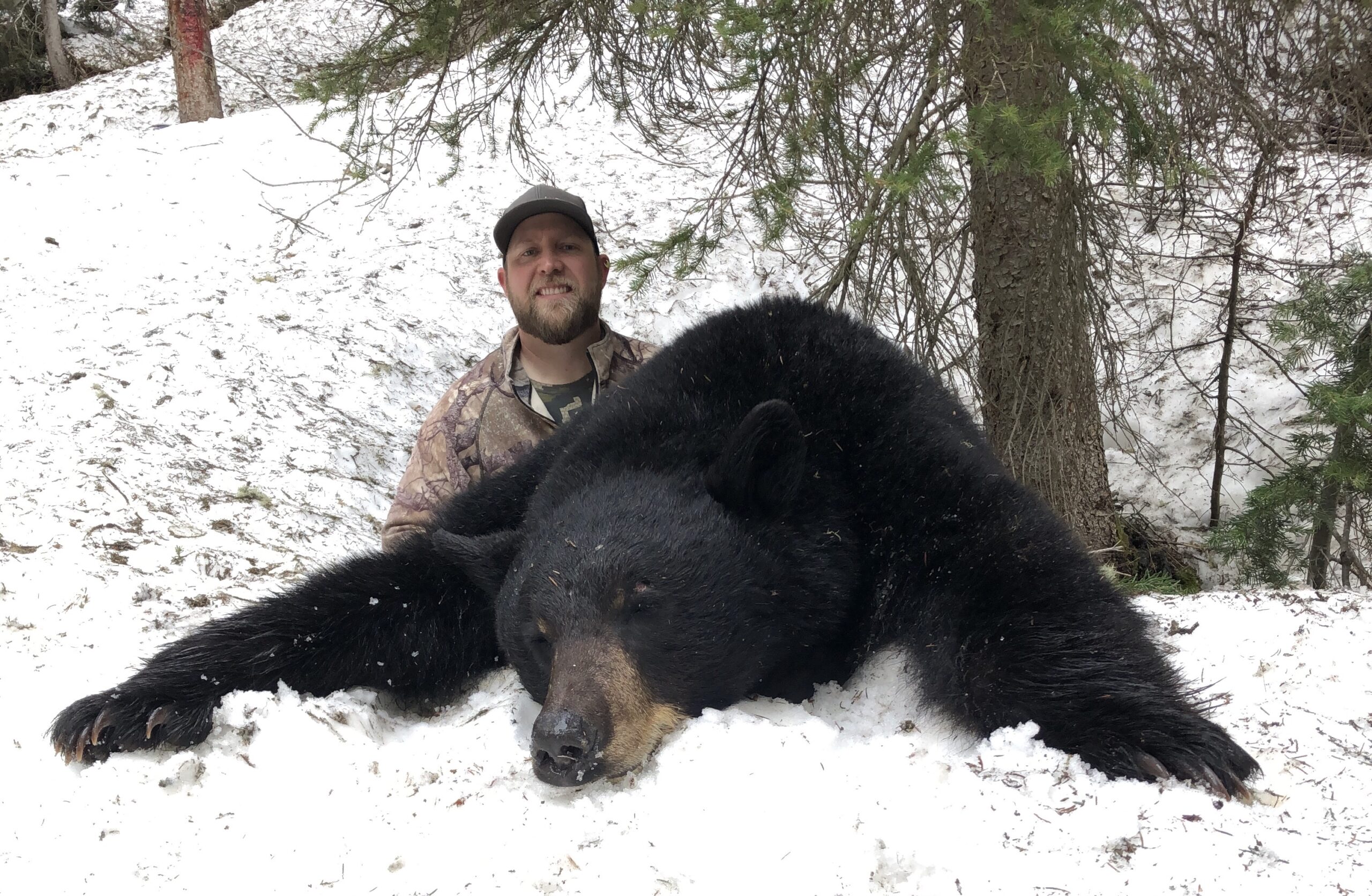 Baiting Bears Tips and Tactics Boarmasters